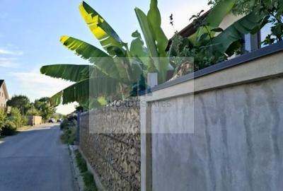 Teren de vanzare in Pipera, in spatele Porsche, langa ANL Baneasa - 2