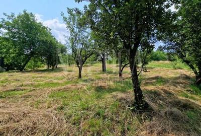 Teren intravilan pentru constructii de vanzare in Zorilor, Cluj Napoca - 2