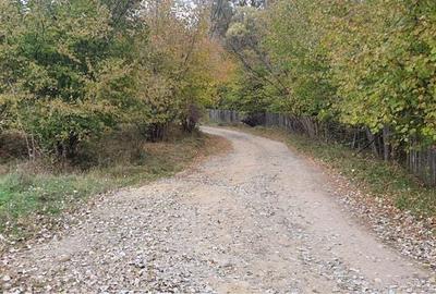 Teren de 50000 mp, în Calvini - 3