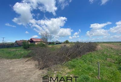 Teren intravilan 7130mp Orlat - 2