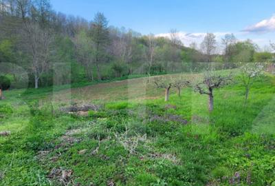 Teren de 6659 mp, în Nisipoasa - 8