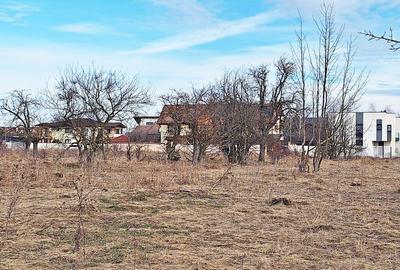 Teren Construcții intravilan de 933 mp, în Ghimbav Livadă - 3