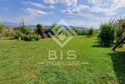 Teren 9.65 ari intravilan + cabană, livadă, zonă liniștită