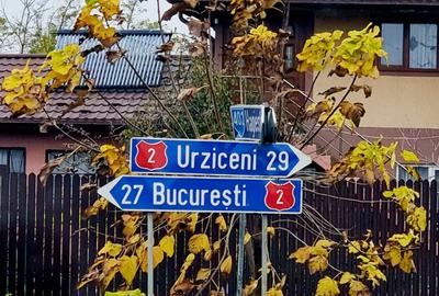 Vanzare teren de COLT 682mp Balta Lilieci Sat Lilieci Sinesti Ialomita - 10