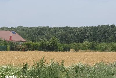 Teren de 500 mp, în Balotești - 9