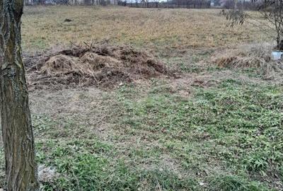 Casă cu 2 camere cu Teren 3240 Mp în Mânăstireni - 4