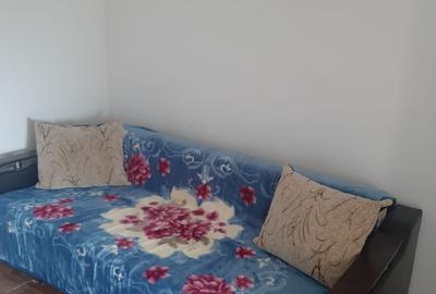 Garsonieră în Dacia - 3