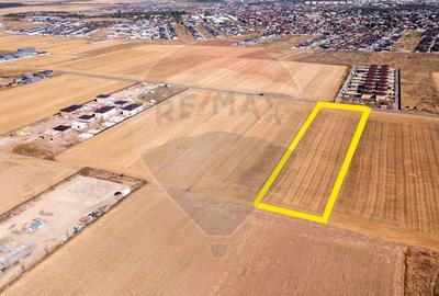 Teren agricol intravilan de 5000 mp, în Dobroești - 7