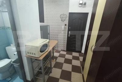 Apartament cu 2 camere semidecomandat în Nufărul