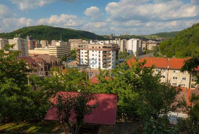 Casa superba zona centrala p+1 Resita - 8