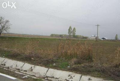 Teren de 15000 mp, în Tișița - 2