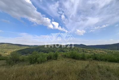 Teren spectaculos cu padure, livada si priveliste panoramica in Soimari PH