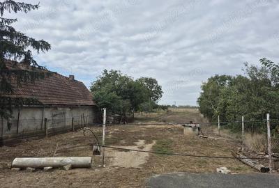 Teren de 719 mp, în Ghioroc - 4