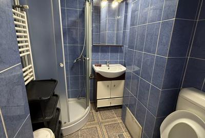 Apartament cu 2 camere semidecomandat, mobilat în Lujerului - 2