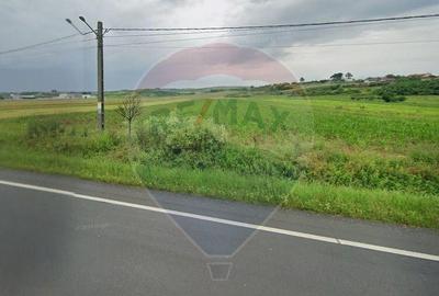 Teren 4 948 mp Bradesti / Racarii de Jos - 1