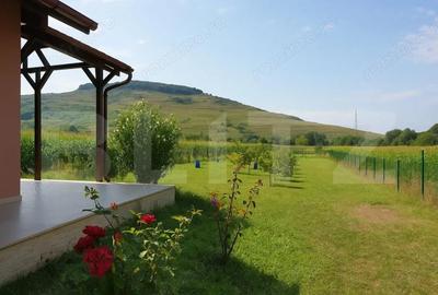 Casă cu Teren 3000 Mp în Central - 2