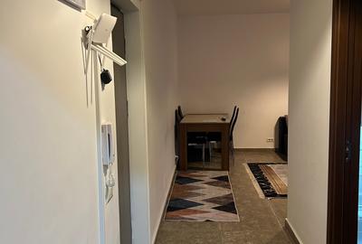 Apartament cu 2 camere decomandat, mobilat în Colentina - 4