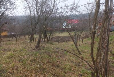 Spațiu comercial, în Goranu - 6