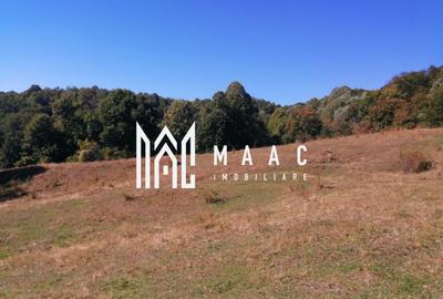 Teren agricol extravilan de 20000 mp, în Stoenești - 8