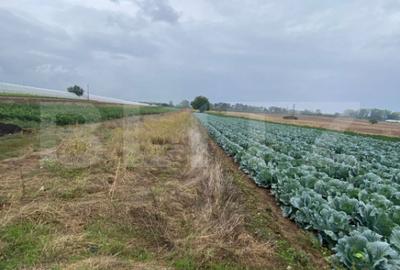 Teren de 4700 mp, în Băleni - 1