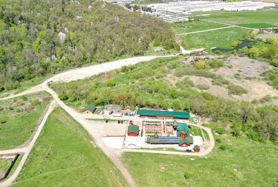 Teren Intravilan parcele 1000mp - 21