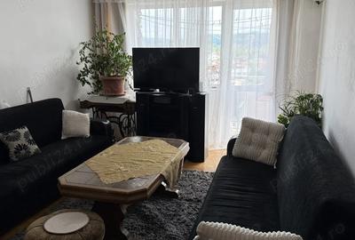 Apartament 3 camere Campina - 2