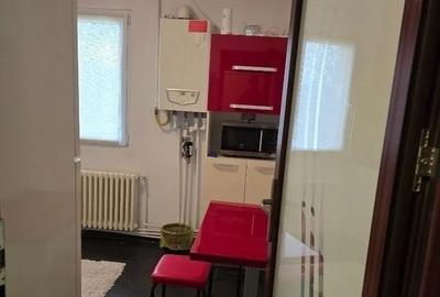 Apartament cu 2 camere, PET FRIENDLY, zona Podu Ros - 9