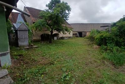 Casa dorolea (10km de bistrita) - 2