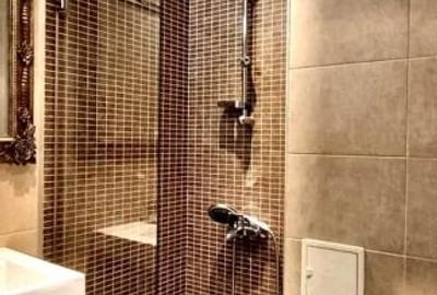 Apartament cu 4 camere decomandat, mobilat în Domenii - 7