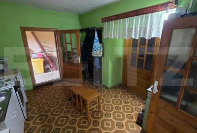 Casa de vanzare, cu 4 camere, 80 mp, satul Doroslea - 14
