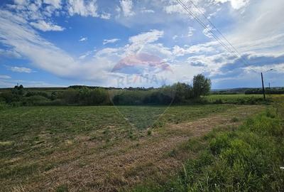 Teren extravilan 12000 mp- Padureni-Sendriceni, Botosani - 4