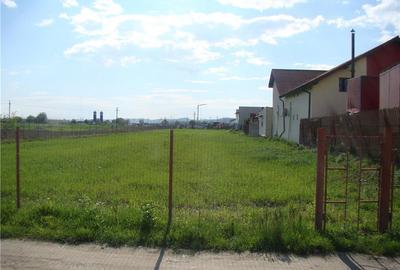 Teren de 4850 mp, în Budești