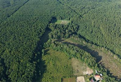 Spațiu comercial, în Vicovu de Sus - 1