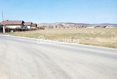 Teren 27.000 mp.deschidere la 2 drumuri ,75 euro mp. - 3