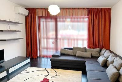 Pet Friendly complex Tampa Gardens - 7