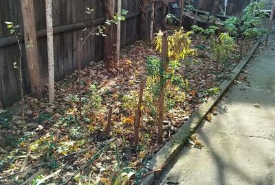 De vanzare casa pe strada Traian - 6