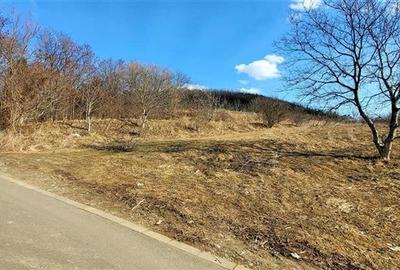 Teren intravilan,cartier Gusterita,Sibiu,comision 0 - 1