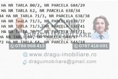 Teren de 75000 mp, în Munteni - 2