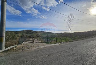 15 parcele de 1000 mp de vanzare in Breaza Prahova- toate... - 10