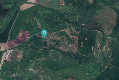 Teren de 195 Hectare Arabil in Cincu, Bra?ov - 1