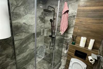 Apartament cu 2 camere decomandat în Pantelimon