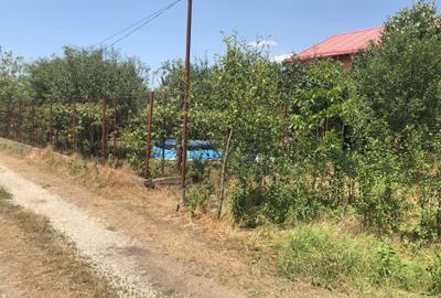 Teren de casă – zonă liniștită, ferit de trafic; langa podul Ciorogarla - 9