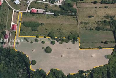 Teren de 23345 mp, în Cornu - 2