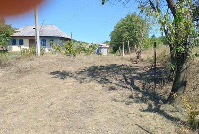 Casa Batraneasca+ Hala din Sandwich - 3