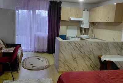 Apartament 1 camera de inchiriat - 10