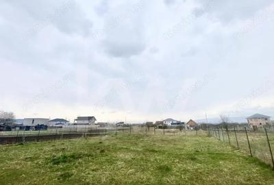 Teren de 500 mp, în Veterani - 1