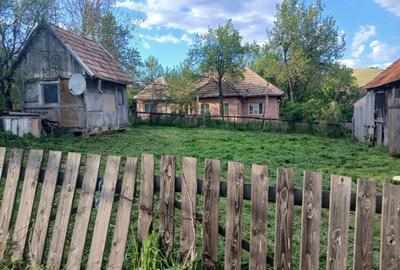 Casă cu 3 camere în Roșieni - 1