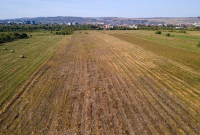 Teren intravilan, 2.800 m2, Cluj-Napoca - 8