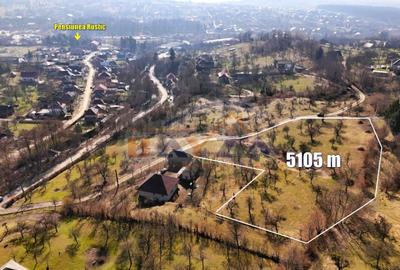 Teren Construcții intravilan de 5105 mp, în Baia Sprie - 4