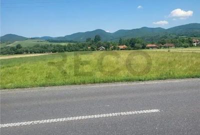 Teren de 2900 mp, în Borod - 3